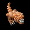 sculpture ballon tyrex dinausore